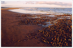 Aberdeen beach 2