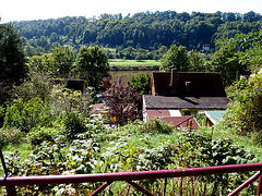 14.09.2012 - Blick auf meinen Garten - Haus und Elbtal - ekvido sur mia ĝardeno - domo kaj Elbvalo