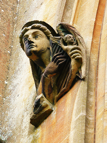 toddington harpist drip stone