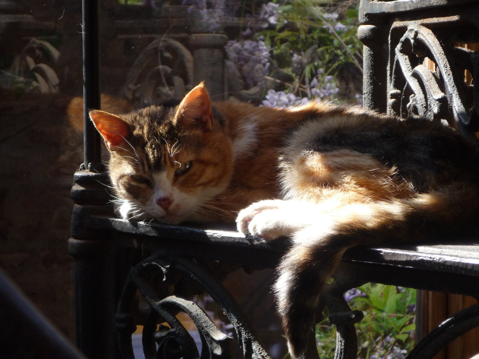 Romana duerme