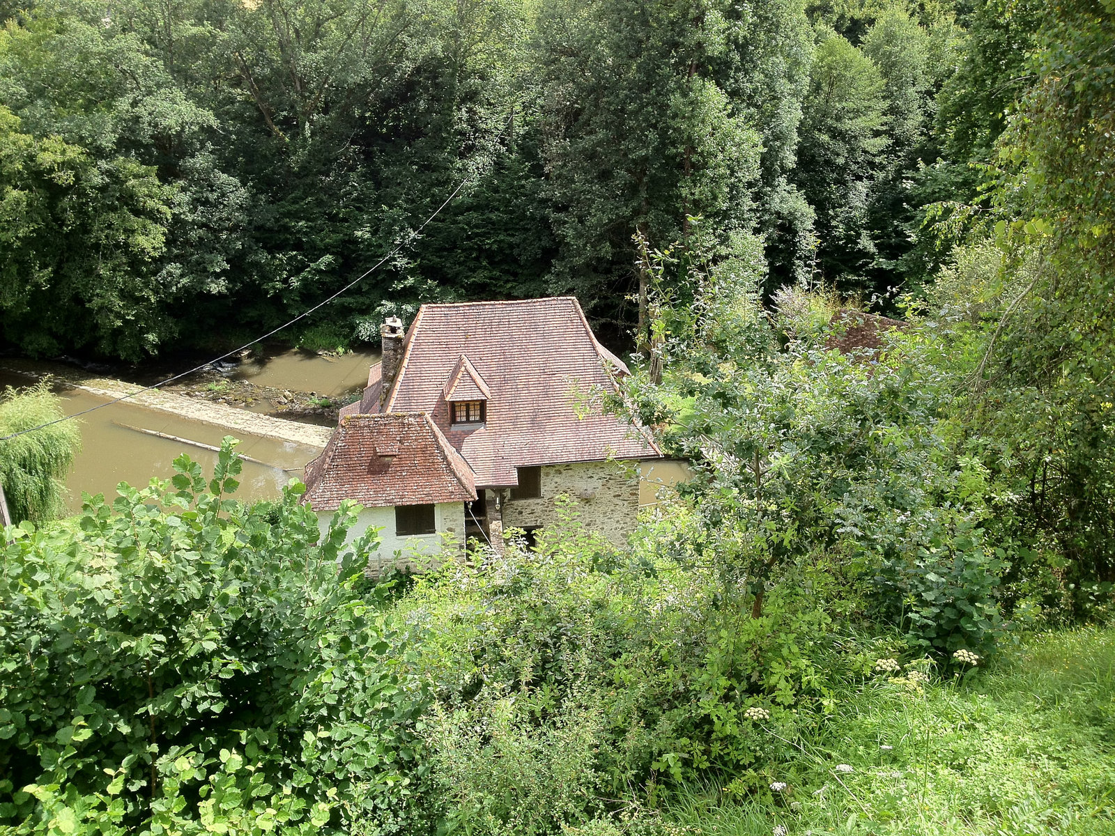 IMG 0318