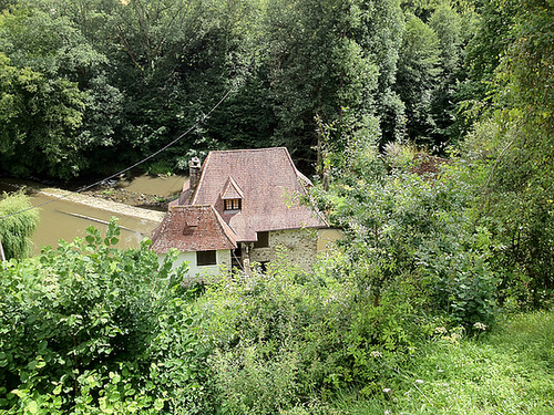 IMG 0318