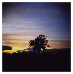 Holga sunset 1