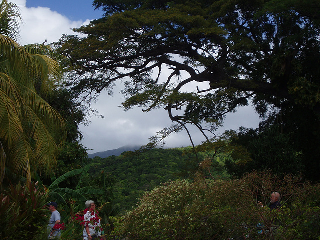 Saint Kitts 035