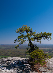 minnewaska-6