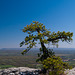 minnewaska-6