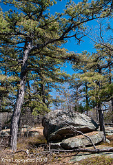 minnewaska-4