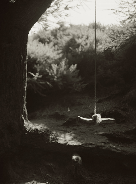 rope swing 2