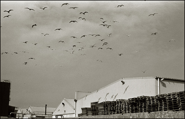 Peterhead series