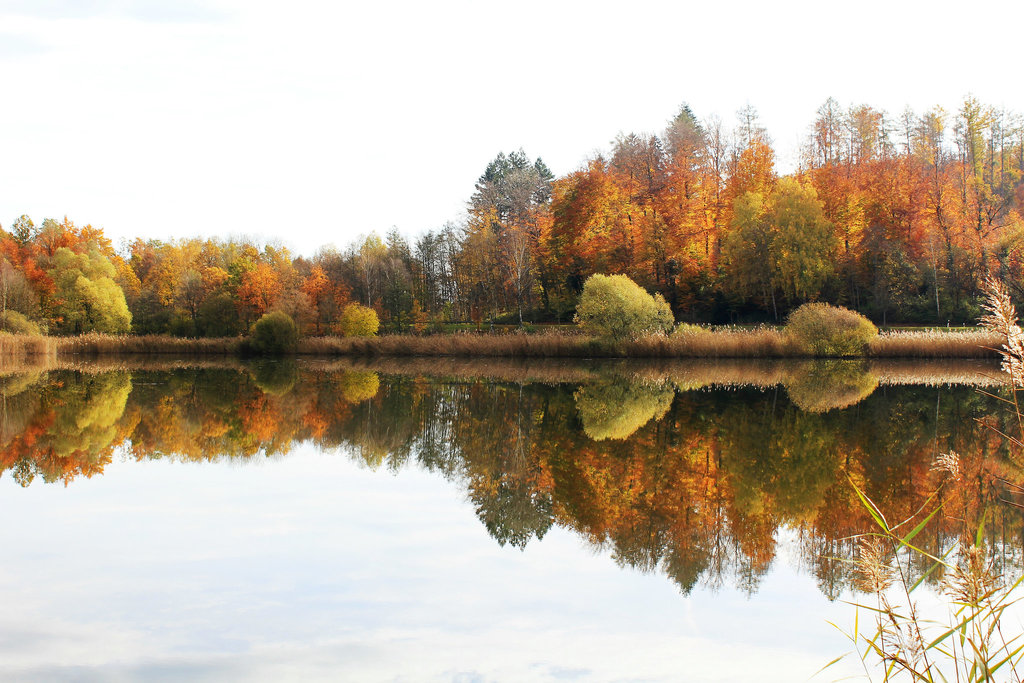 Spiegelung im See