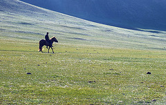 Cavalier dans la steppe