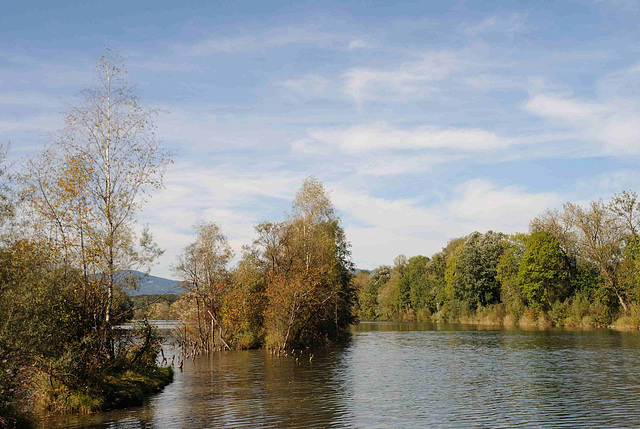 am Alten Rhein