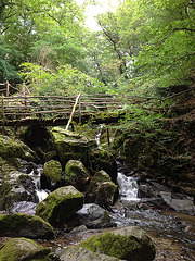 IMG 0338 IMG 0338