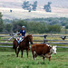 Grant-Kohrs Ranch National Historic Site