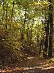 Nov 3 2007 012 Nov 3 2007 012