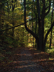 Nov 3 2007 010 Nov 3 2007 010