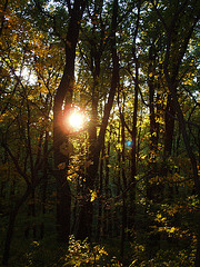 Nov 3 2007 021 Nov 3 2007 021