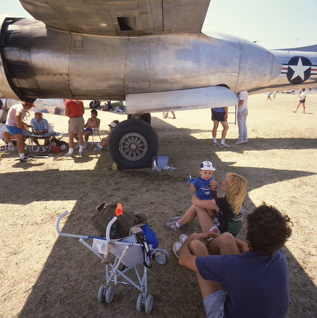 They make great shade, too