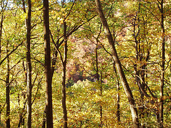 Nov 3 2007 018 Nov 3 2007 018