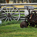 Grant-Kohrs Ranch National Historic Site