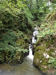IMG 0342