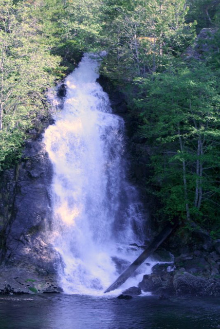 Cassel Falls