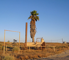 Kern Westside oil (3096)