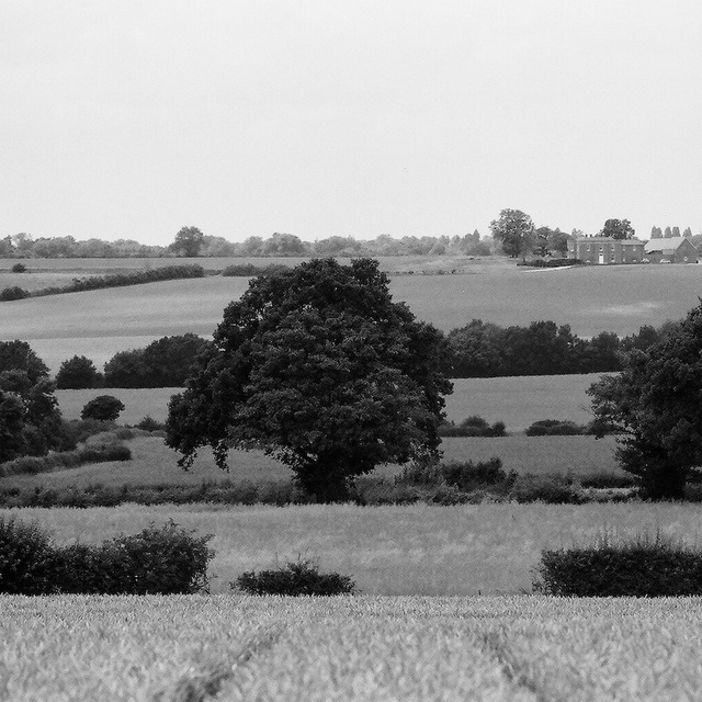 Hertfordshire View (5)