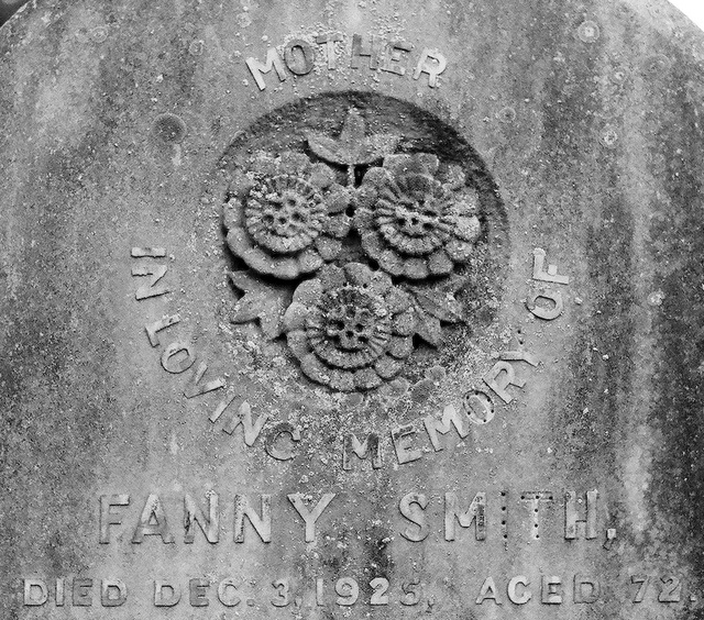 Fanny Smith