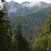 View from Lake Crescent