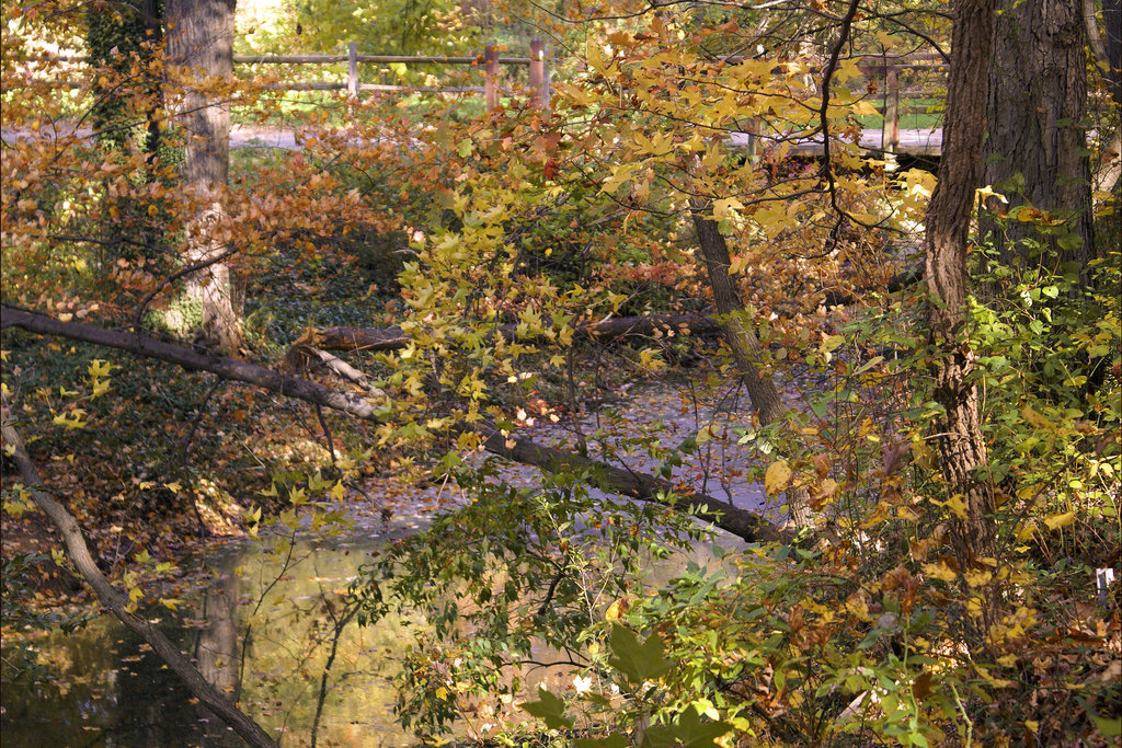 Early November Reflections – Greenbelt, Maryland