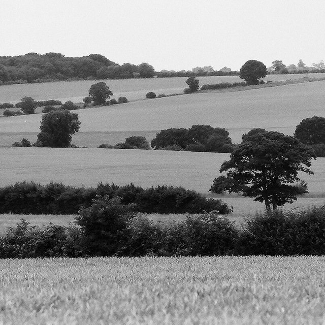 Hertfordshire View (2)