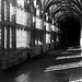 Wells Cathedral cloister (II)