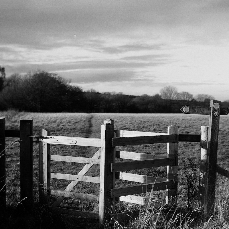 Kissing gate