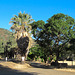 Los Gatos Creek park (3587)