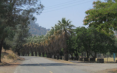 Los Gatos Creek Park 341x