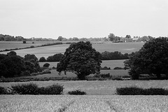 Hertfordshire View (4)