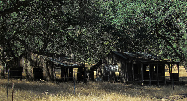 Los Gatos Creek road (3609)