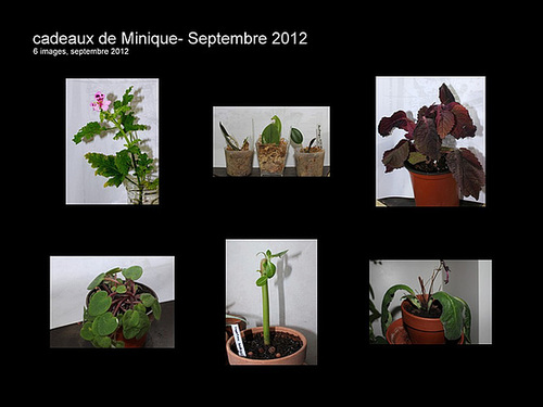 cadeaux de Minique..une partie