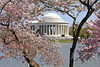 The Jefferson Memorial at Cherry Blossom Time – Tidal Basin, Washington DC