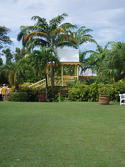 Saint Kitts 034