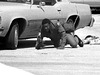 Lauderdale Lakes shootout 3