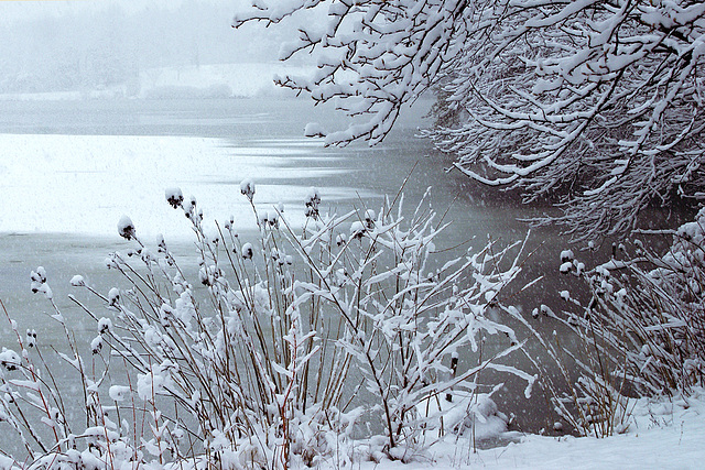 Winter at Greenbelt Lake – Greenbelt, Maryland