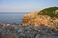 Green Cove-1