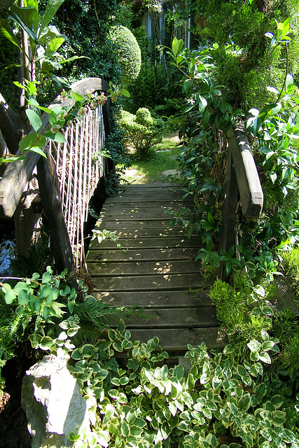 Petit pont de bois