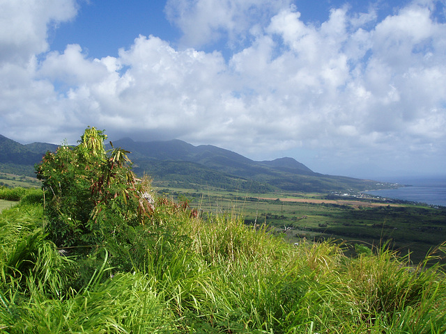 Saint Kitts 060