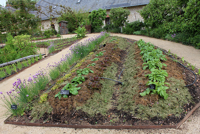Coin des patates en buttes