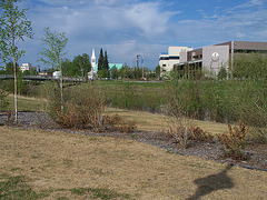 Day 15: Riverside Park in Fairbanks