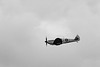 Spitfire