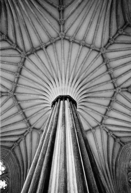 Wells Cathedral Chapter House vault